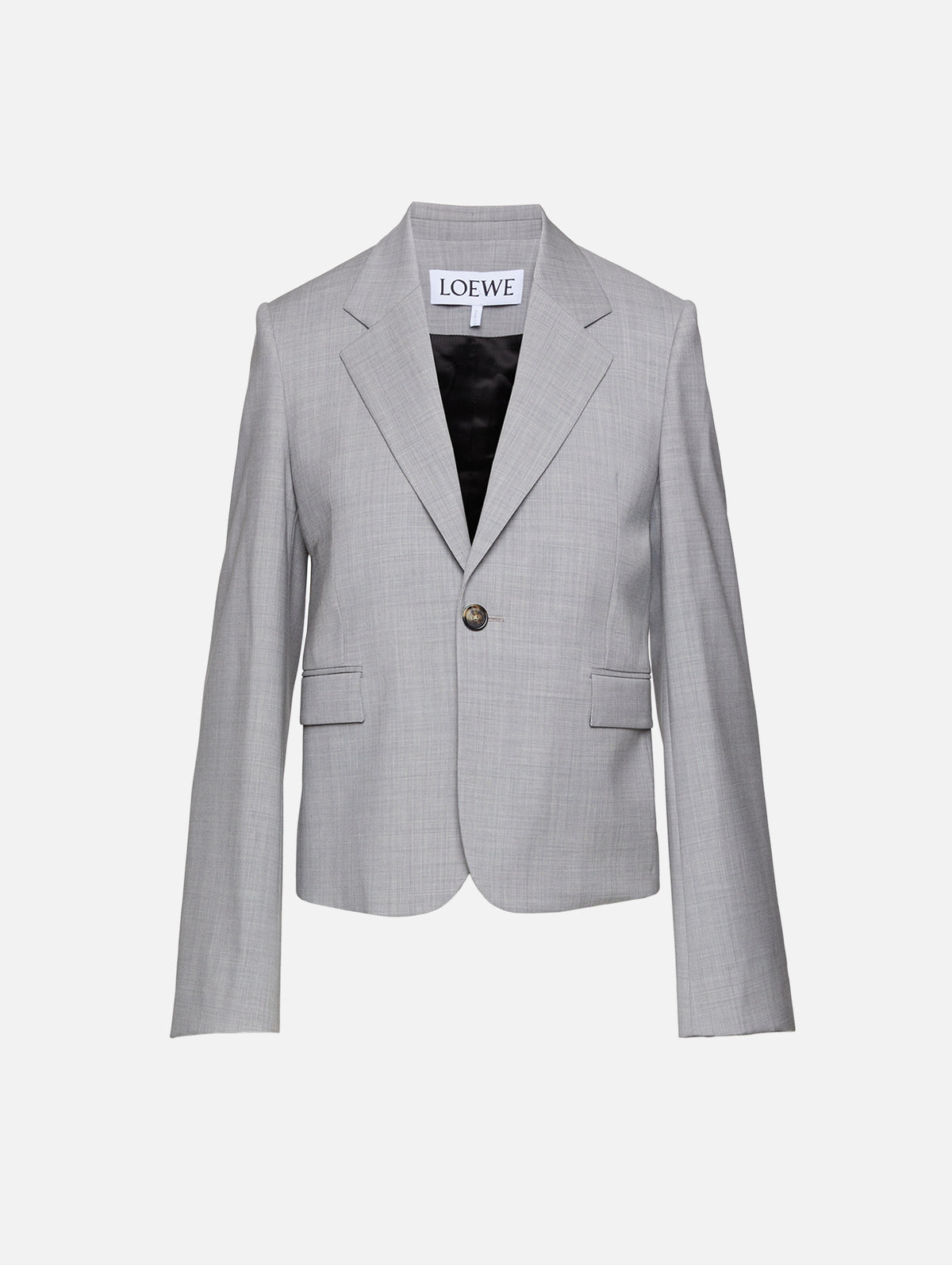Blazer,LOEWE,LIGHT GREY,Image 1