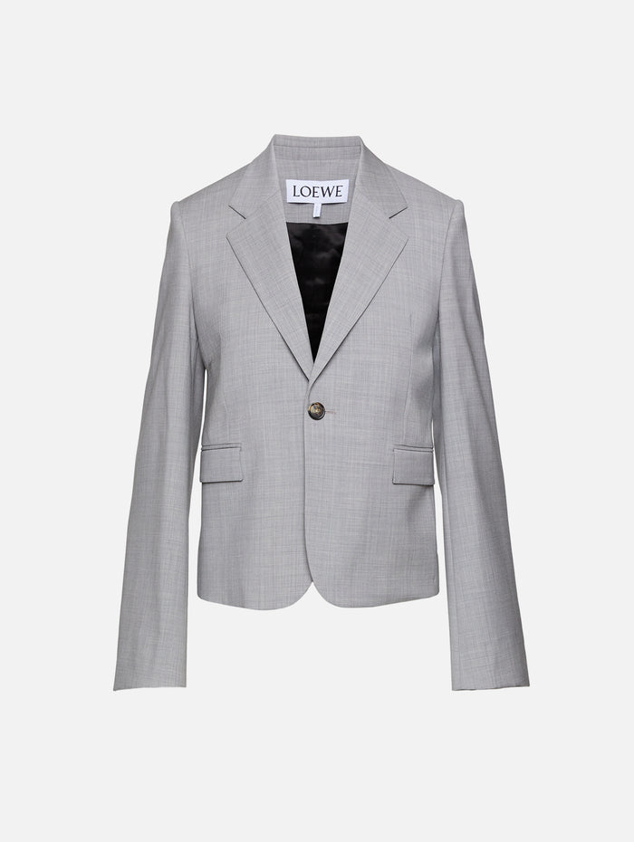 Blazer,LOEWE,LIGHT GREY,Image 1