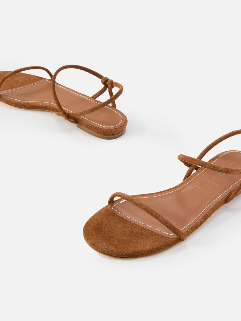 TAN