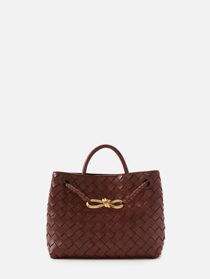 Small Andiamo Bag,BOTTEGA VENETA,SAPELE,Image 1